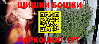 мдпв Дубна