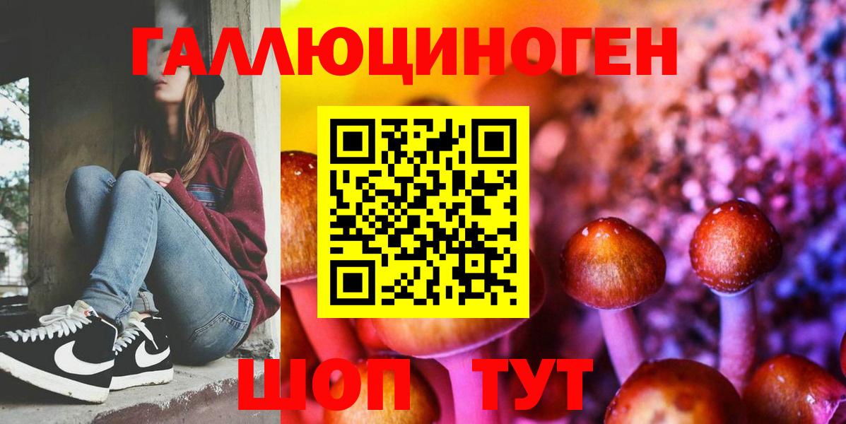 Галлюциногенные грибы GOLDEN TEACHER  Вход с VPN  Мурманск  Галлюциногенные грибы мухоморы 